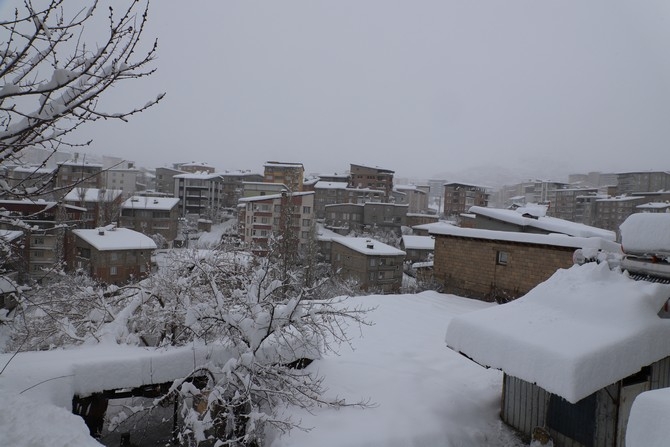 Hakkari kar manzaraları 2024 galerisi resim 4