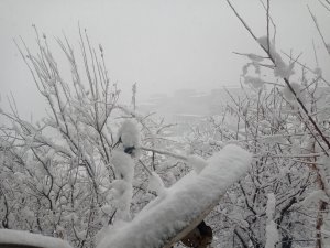 Hakkari'de 179 yerleşim yeri ulaşıma kapandı