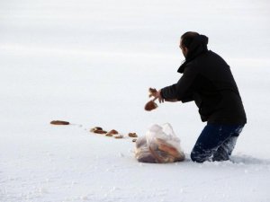 Kara batarak doğaya ekmek bıraktı