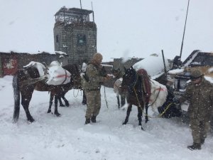 Atların sırtında 215 adet av tüfeği ele geçirdi