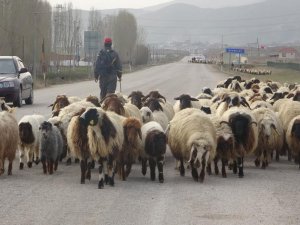 Yüksekova: Göçerlerin zorlu yolculuğu başladı