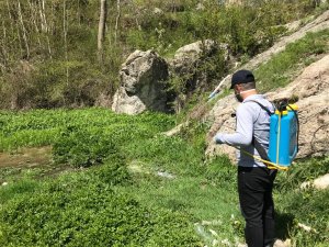 Hakkari'de larvasit mücadelesi