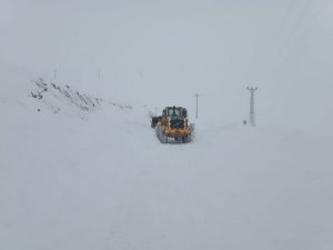 Hakkari'de 298 yerleşim yeri ulaşıma kapandı