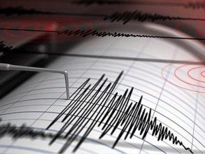 Van'da korkutan deprem