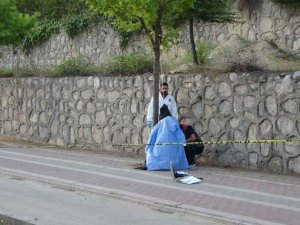 iş insanı iple ağaca asılı halde ölü bulundu