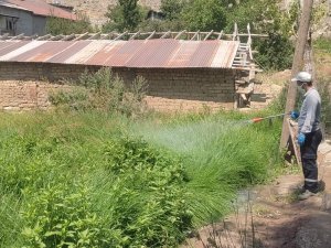 Hakkari belediyesi Biyosidal  ekibi haşerilerle mücadele ediyor