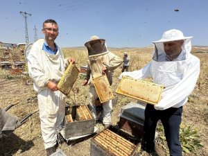 Cilo dağında bal bereketi