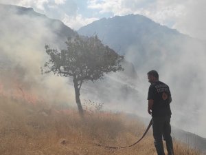 Anız yangınına itfaiye müdahalesi