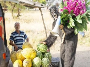 Sanatçı Aydın Aydın'den maymun çiçeği uyarısı