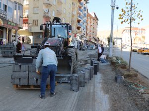 Çevre yolu güzelleştiriyor