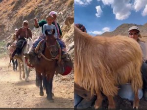 Hakkari valiliğinden Berivan paylaşımı