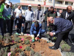 Vali Çelik orta refüjlere çiçek ve çam dikti