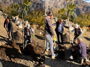 Hakkari belediyesi mezarlıkları ağaçlandırıyor