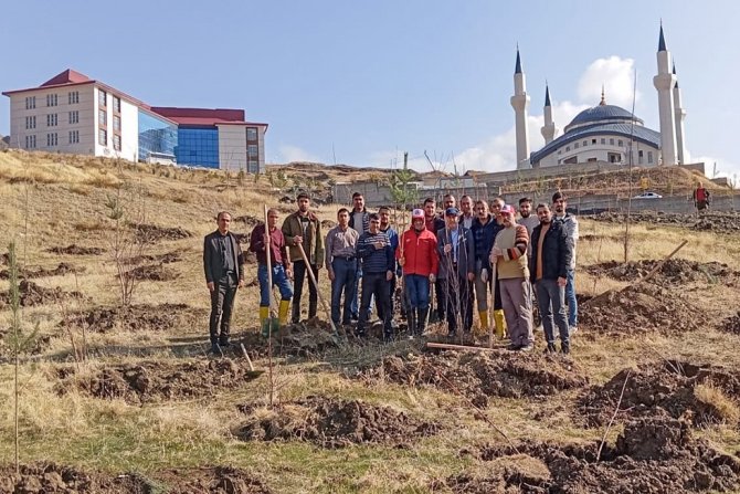 Zeynelbey yerleşkesine 4 bin fidan dikildi