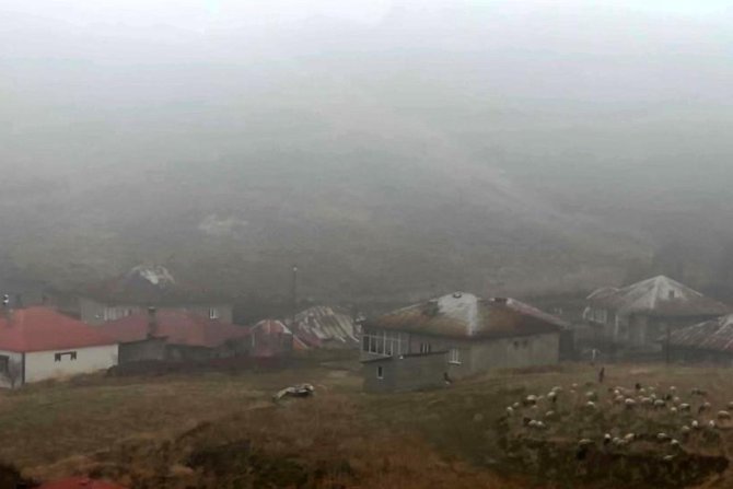 Yüksekova'da yoğun sis etkili oluyor