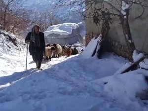 Bahçesaray'da Zorlu kış mesaisi başladı