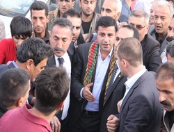 Demirtaş organik taşlarımız var