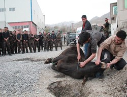 Hakkari'de polis haftası etkinlikleri