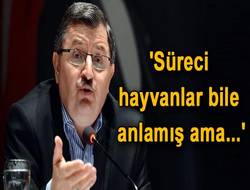 Süreci hayvanlar bile anlamış ama?