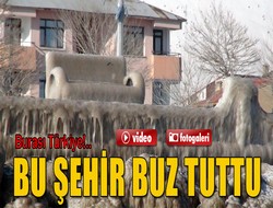 Kutuplar değil Vangölü sahili