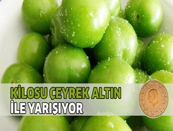 Erik çeyrek altın ile yarışıyor