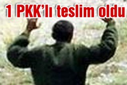 1 PKK`LI JANDARMAYA TESLİM OLDU....