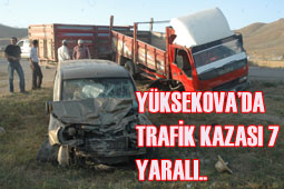 TRAFİK KAZASI, 7 YARALI