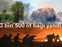 HAKKARİ'DEKİ OT YANGINI KORKUTTU....