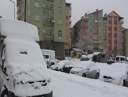 Kar yağışı ve soğuk hava etkisi