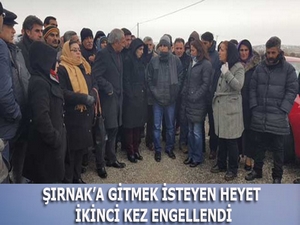 Şırnak’a gitmek isteyen heyet, ikinci kez engellendi