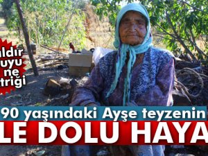 Yaşlı kadının dağda çile dolu hayatı