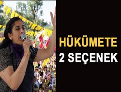 Hükümete 2 seçenek