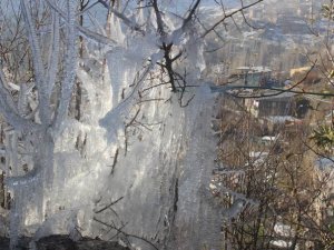 Hakkari'de ağaçları buz tuttu