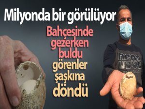 Milyonda bir görülüyor! Bahçesinde buldu, görenler şaşkına döndü