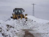 Beytüşşebap'ta kar 1 metreyi buldu