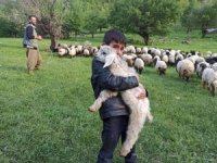 Göçerlerin yayla yolculuğu devam ediyor