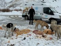 Hakkari’de Can dostlara yiyecek bırakıldı