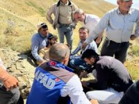 Hakkari'li Çoban ayı saldırısına uğradı