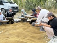 Yüksekova'da eski usul yonca yıkama işlemi