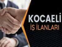 Kocaeli İş İlanları İçin Stratejiler