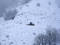 Hakkari çevresinde kar yağışı bekleniyor