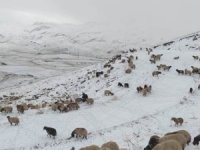 Faraşin Yaylasına yılın ilk karı düştü