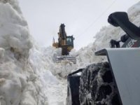 Erzurum, Erzincan ve Tunceli'de 1838 köy yolu kapandı