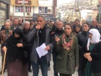 Hakkari DEM Parti'den Rojava açıklaması