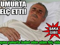 YUMURTA FELÇ ETTİ!