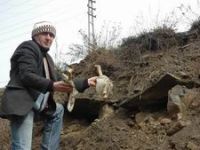 HAKKARİ/DE UTANDIRAN GÖRÜNTÜLER