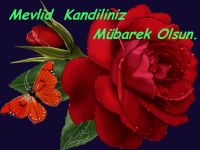 KANDİLİNİZ KUTLU OLSUN HAKKARİTV