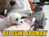 BELASINI ARAMAK BUNA DENİR