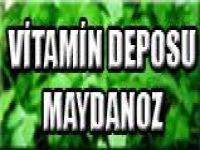 VİTAMİN DEPOSU MAYDANOZ