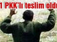 1 PKK`LI JANDARMAYA TESLİM OLDU....